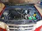 2009 FORD ESCAPE