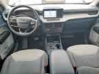 2024 FORD Maverick