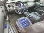 2013 FORD MUSTANG