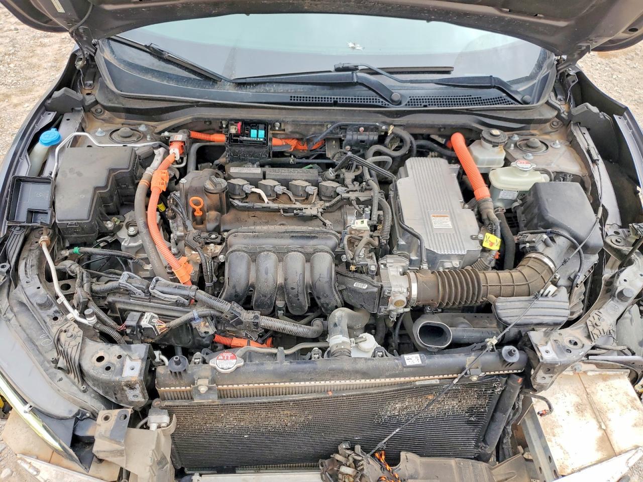 2019 HONDA Insight