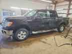 2013 FORD F-150 Lightning