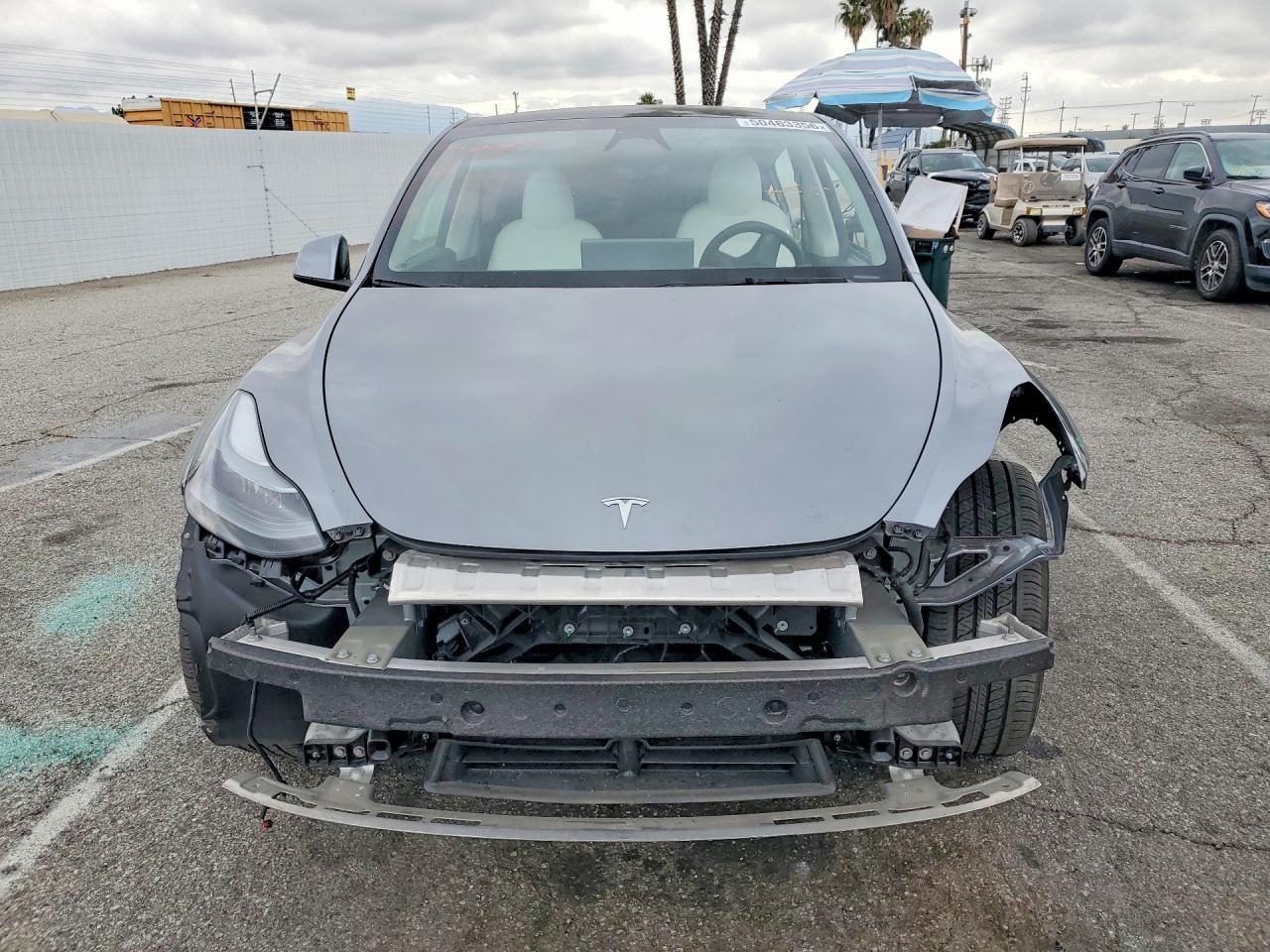 2024 TESLA MODEL Y