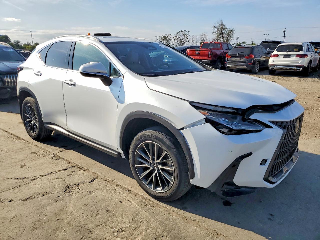 2024 LEXUS NX 250