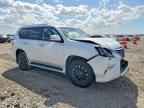 2022 LEXUS GX 460