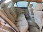 2005 HONDA ACCORD