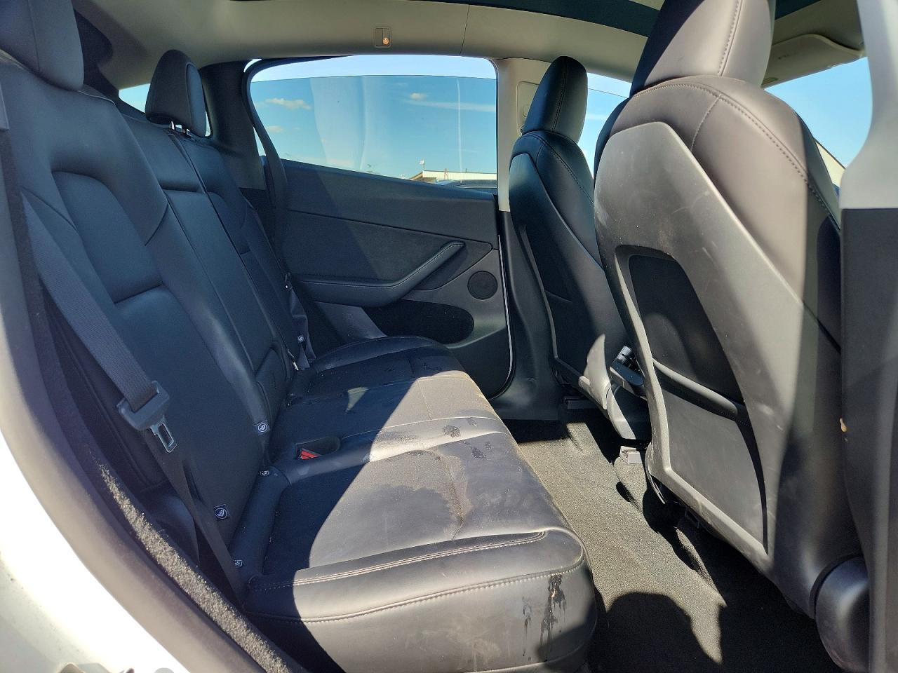 2025 TESLA MODEL Y