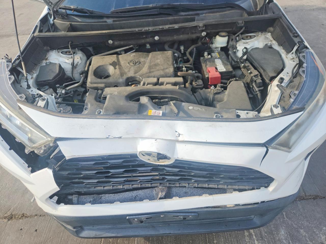 2019 TOYOTA RAV4