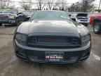 2013 FORD MUSTANG