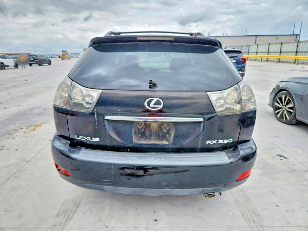 2004 LEXUS Rx 330