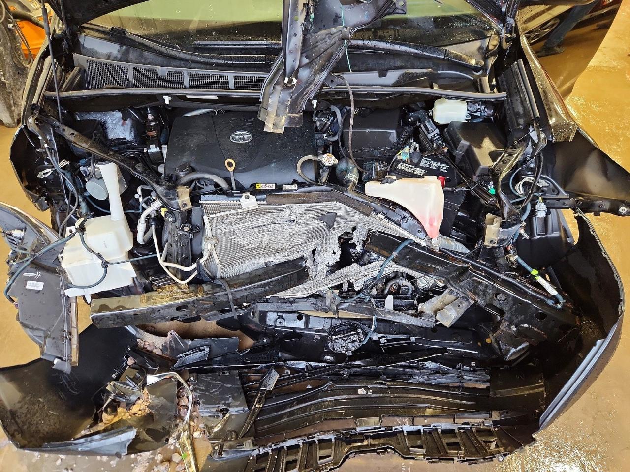 2019 TOYOTA SIENNA