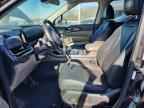 2025 KIA Carnival