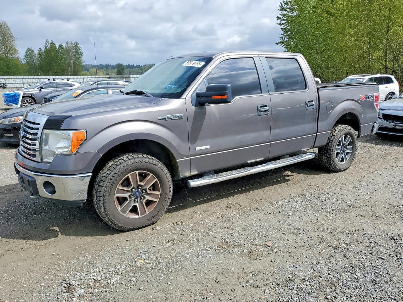 2012 FORD F-150 Lightning