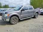 2012 FORD F-150 Lightning