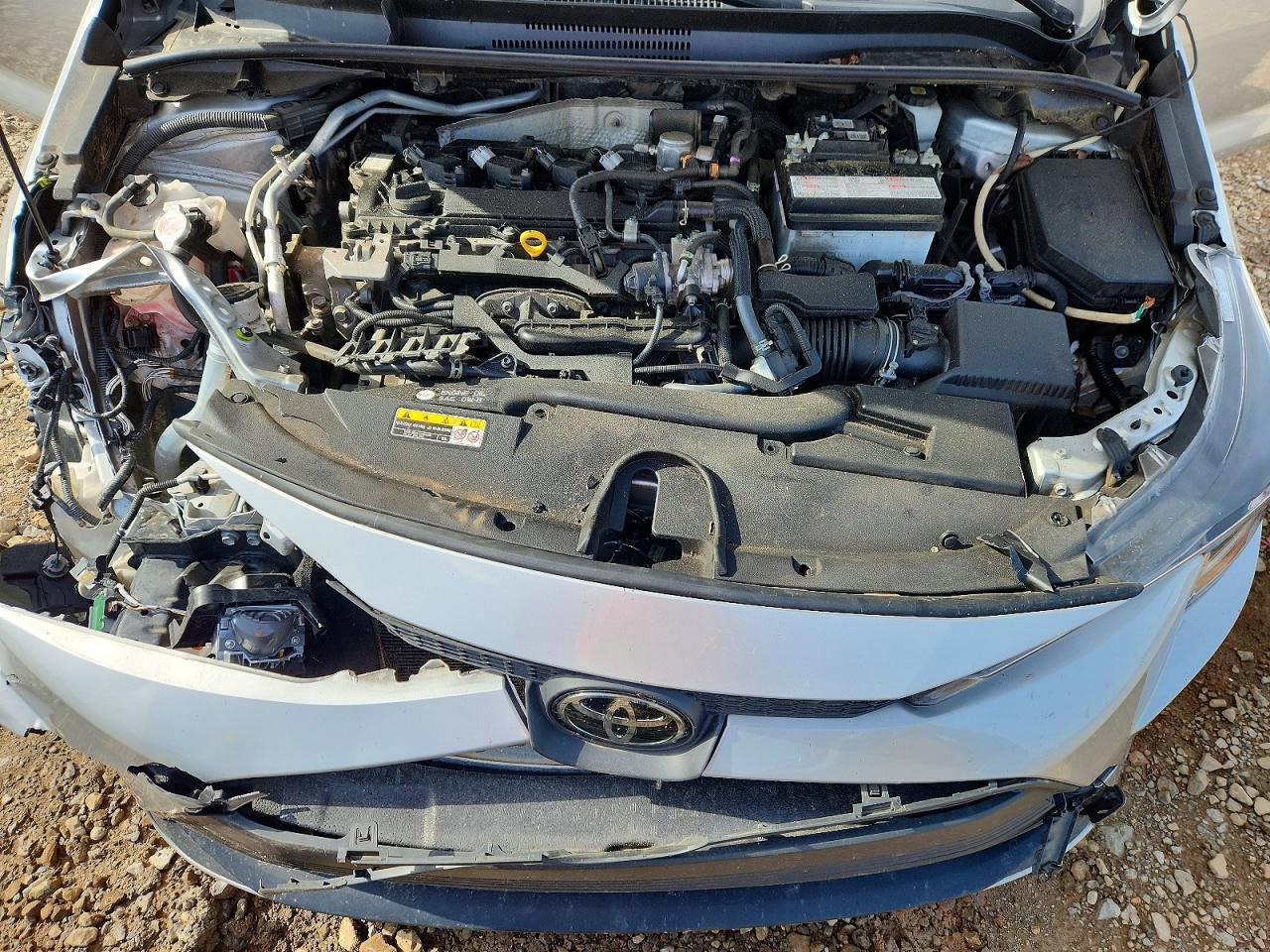2023 TOYOTA COROLLA