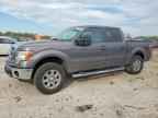 2013 FORD F-150 Lightning