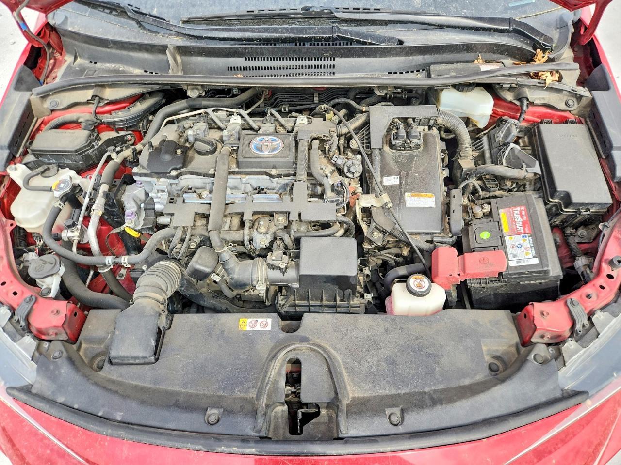 2021 TOYOTA COROLLA