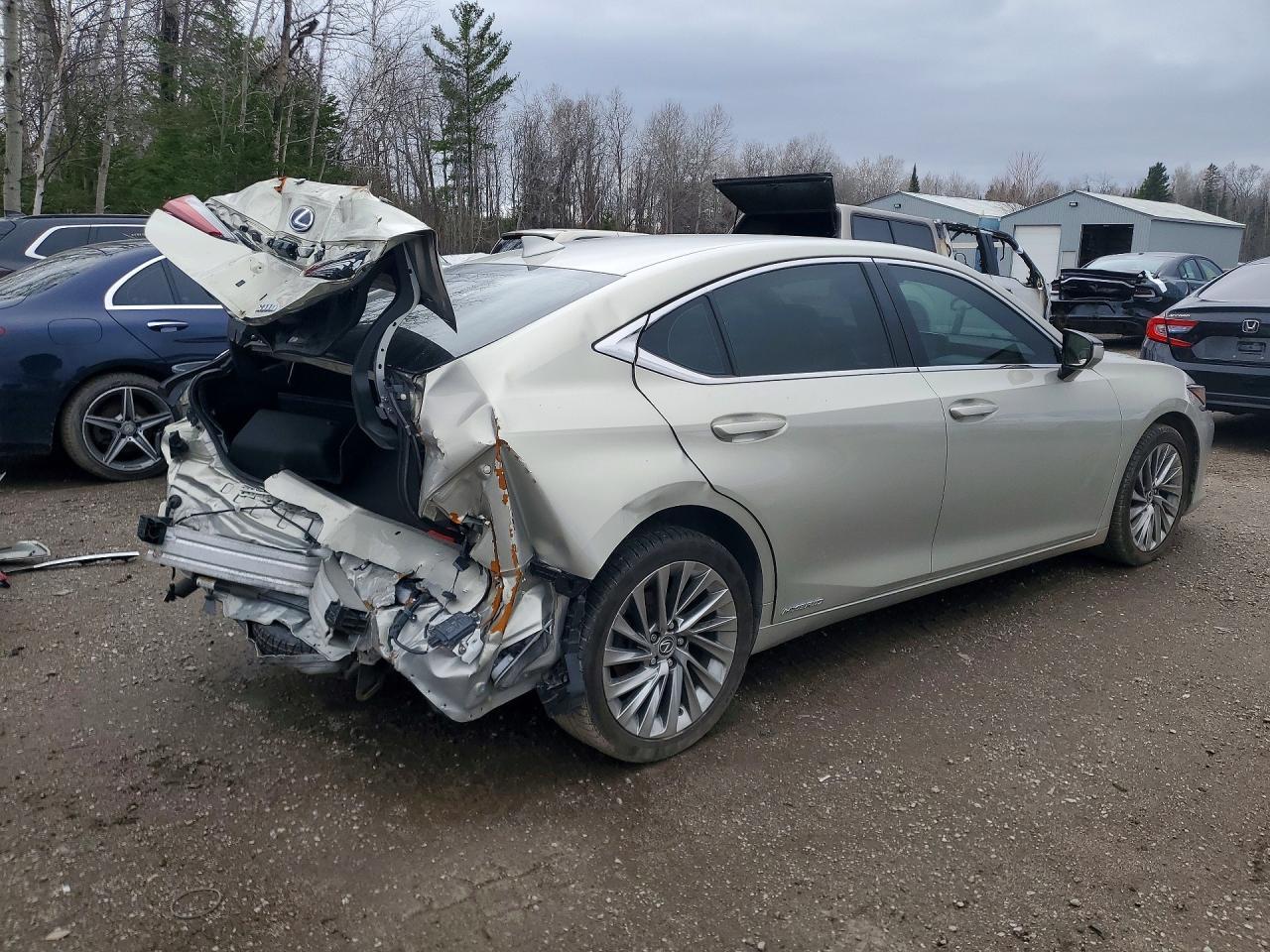 2019 LEXUS ES 300H