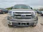 2013 FORD F-150 Lightning