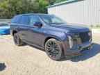 2025 CADILLAC ESCALADE