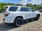 2021 TOYOTA 4Runner