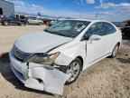 2010 LEXUS HS 250h