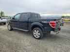 2013 FORD F-150 Lightning