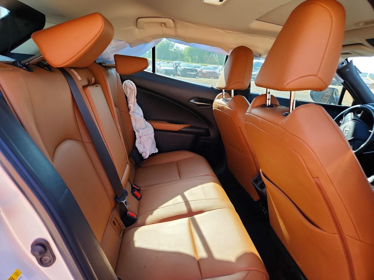 2019 LEXUS UX 250H