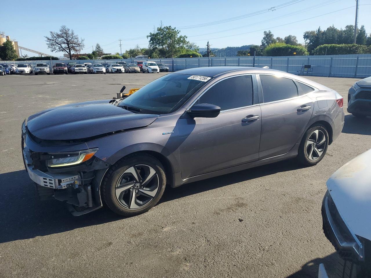 2022 HONDA Insight