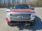 2010 FORD F-150 Lightning
