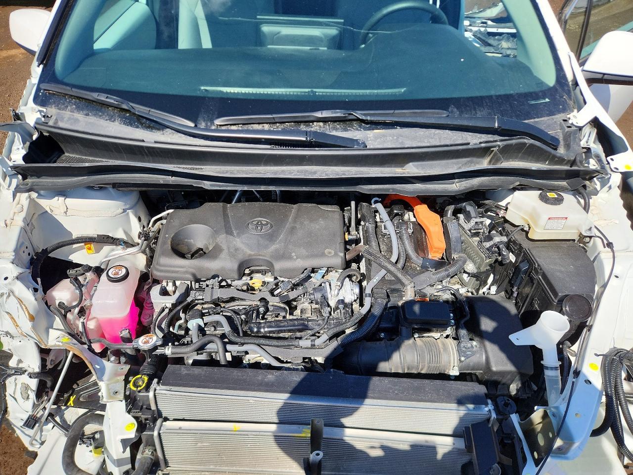 2025 TOYOTA SIENNA