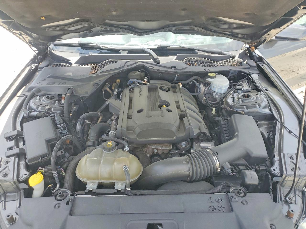 2019 FORD MUSTANG
