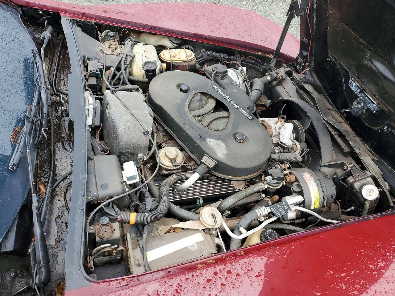 1982 CHEVROLET CORVETTE
