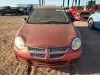 2005 DODGE Neon