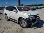 2019 LEXUS GX 460
