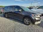 2024 KIA Carnival