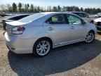 2010 LEXUS HS 250h