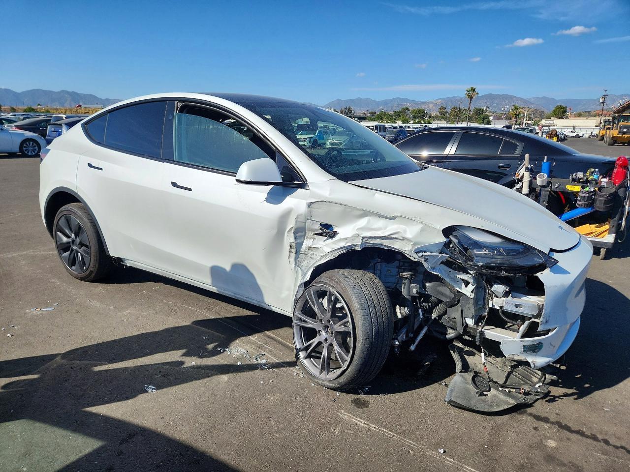 2025 TESLA MODEL Y