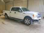 2010 FORD F-150 Lightning