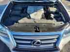 2017 LEXUS GX 460