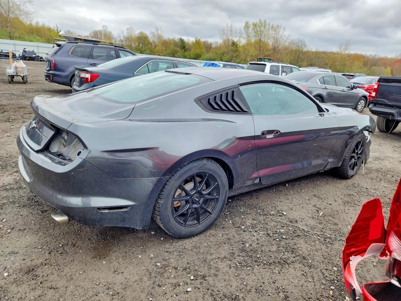 2019 FORD MUSTANG