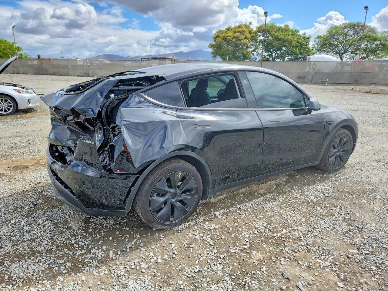 2025 TESLA MODEL Y