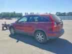 2007 HONDA CR-V