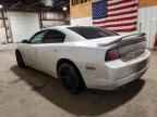 2014 DODGE CHARGER