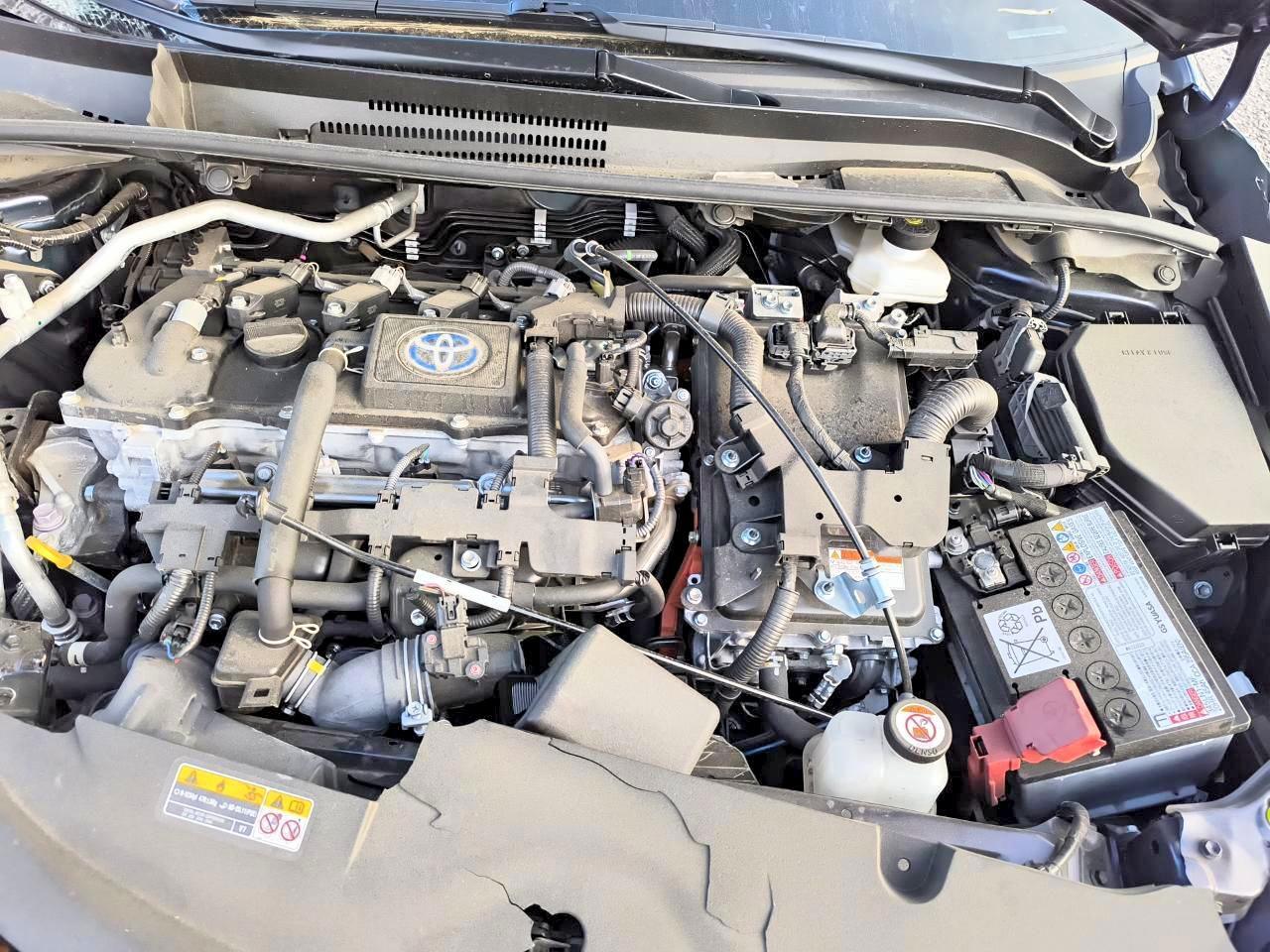 2024 TOYOTA COROLLA
