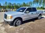 2013 FORD F-150 Lightning