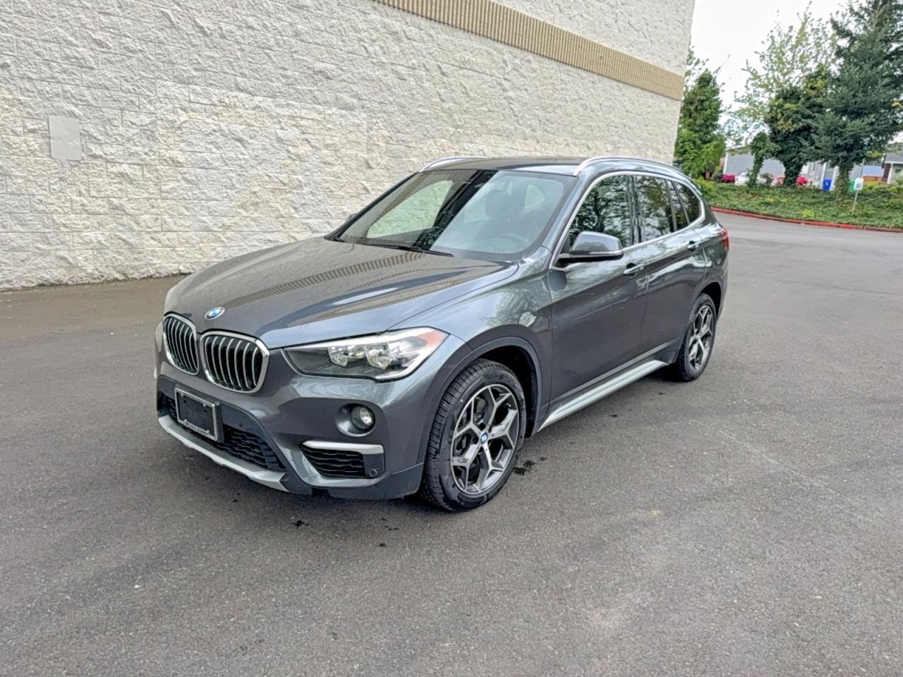 2019 BMW X1