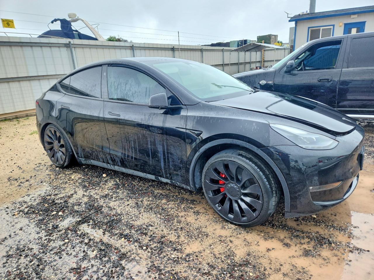 2023 TESLA MODEL Y