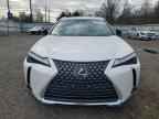 2025 LEXUS UX 300H