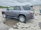 2023 TOYOTA 4Runner