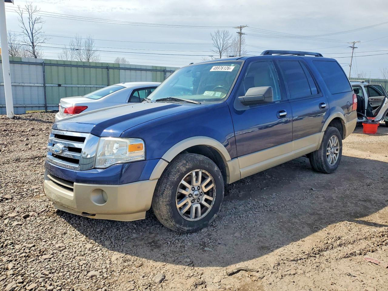 2010 FORD Expedition